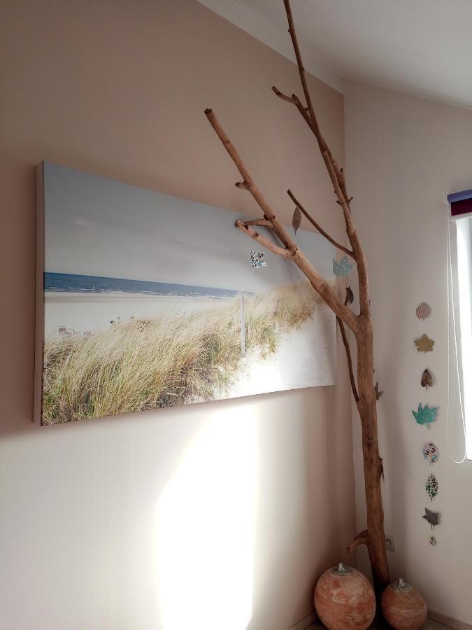 Studio Duplex L'Ecole Buissonniere Trouville-la-Haule Eksteriør billede
