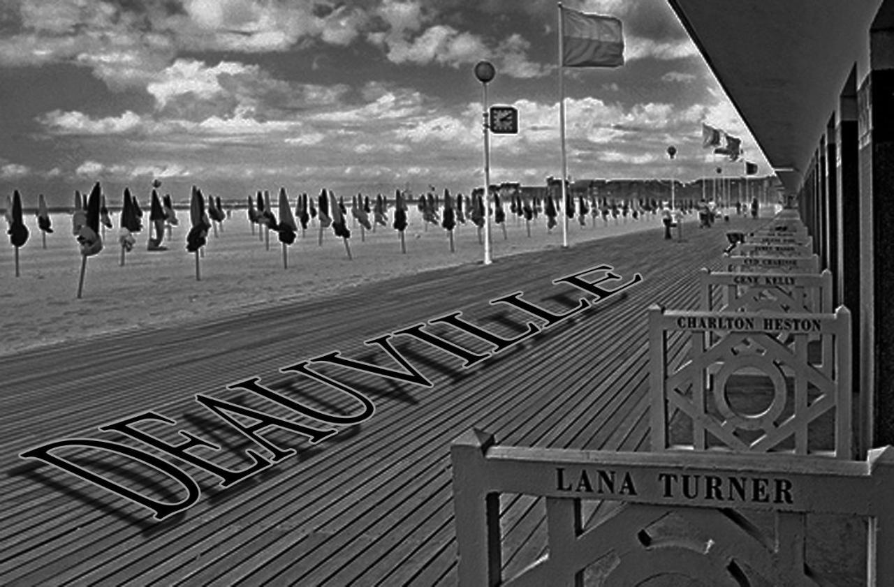 Studio Duplex L'Ecole Buissonniere Trouville-la-Haule Eksteriør billede